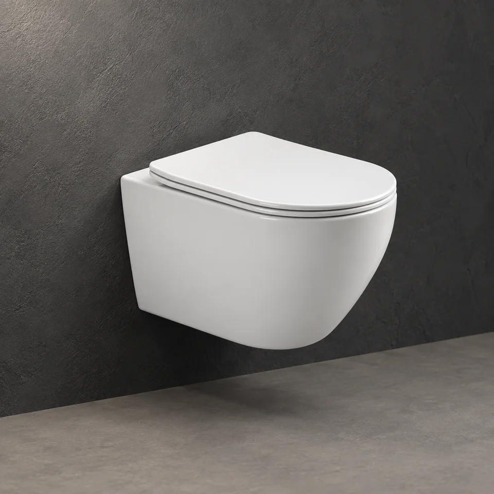 Wall-hung toilet